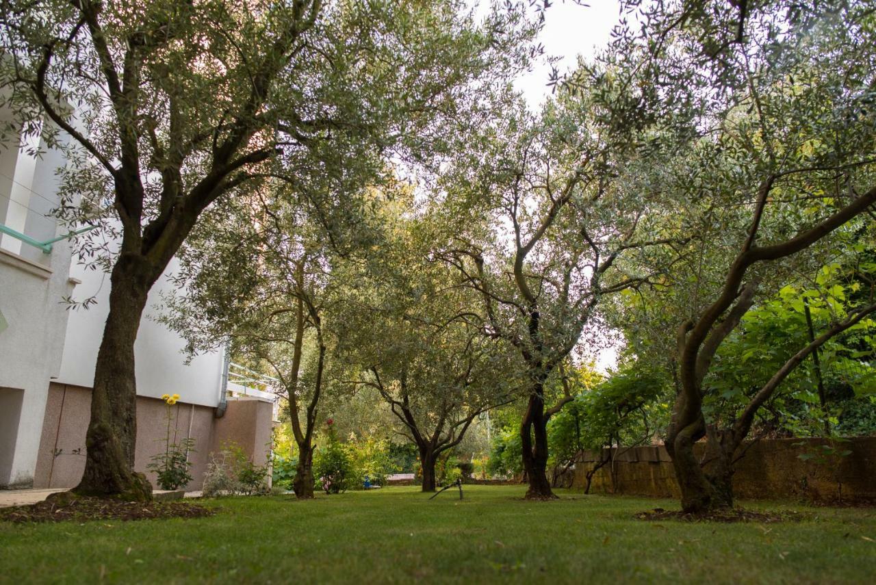Apartments Villa Lena Zadar Eksteriør billede
